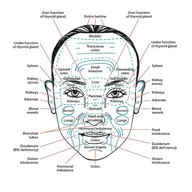 New Signature Japanese Head and Facial Massage